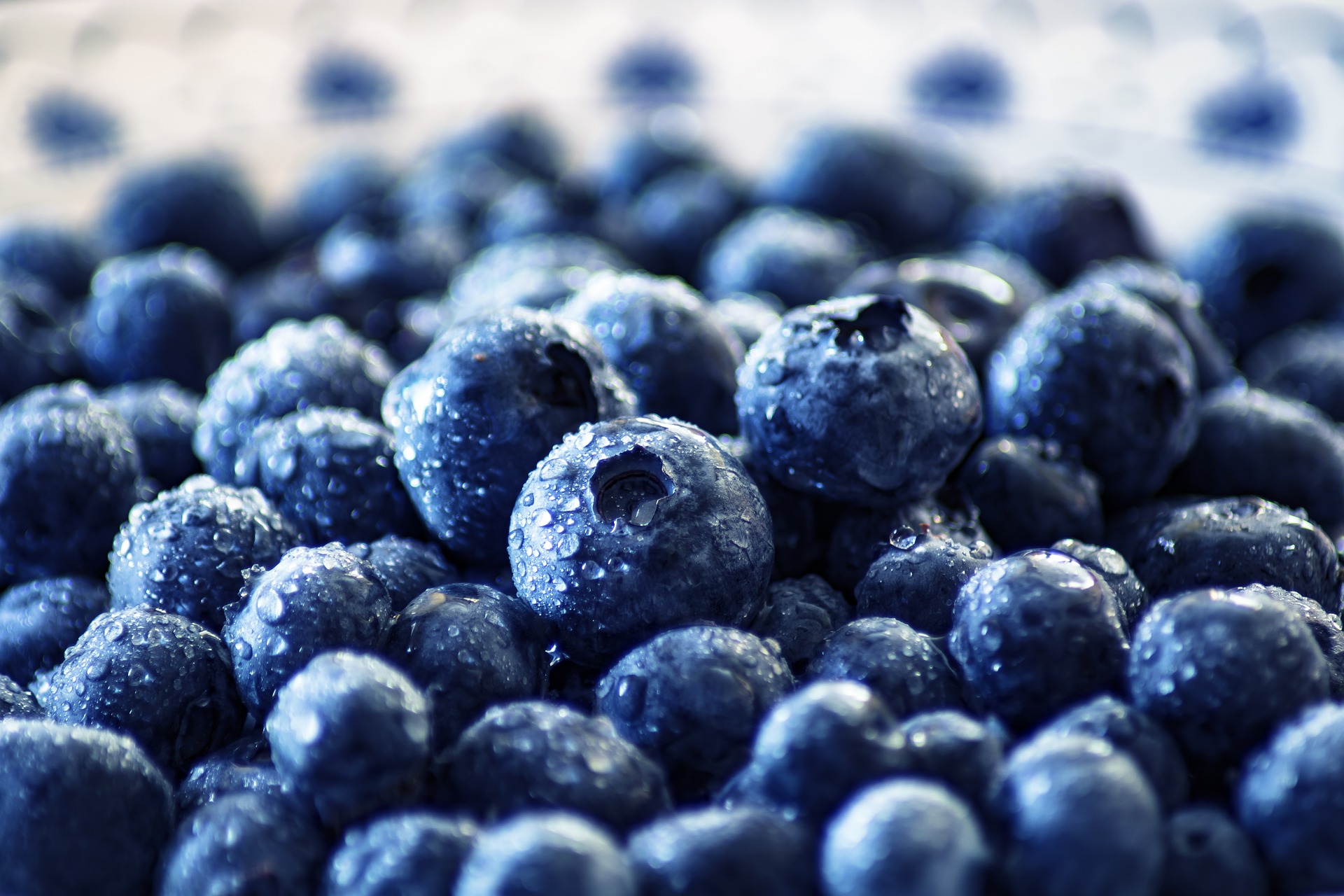mirtilli, frutti di bosco, blueberry